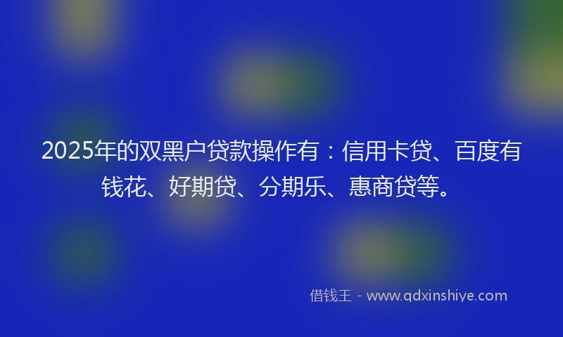 2025年的双黑户贷款操作有：信用卡贷、百度有钱花、好期贷、分期乐、惠商贷等。