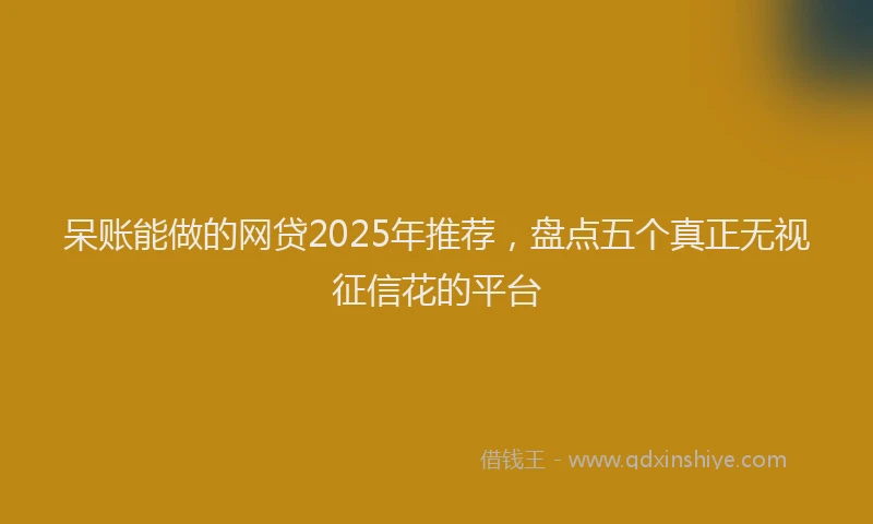呆账能做的网贷2025年推荐，盘点五个真正无视征信花的平台