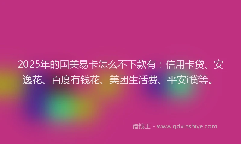 2025年的国美易卡怎么不下款有：信用卡贷、安逸花、百度有钱花、美团生活费、平安i贷等。