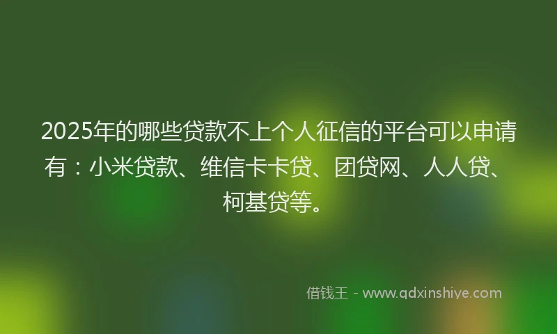 2025年的哪些贷款不上个人征信的平台可以申请有：小米贷款、维信卡卡贷、团贷网、人人贷、柯基贷等。