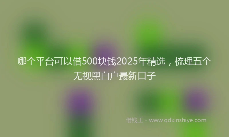 哪个平台可以借500块钱2025年精选，梳理五个无视黑白户最新口子
