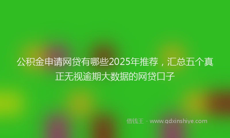 公积金申请网贷有哪些2025年推荐，汇总五个真正无视逾期大数据的网贷口子
