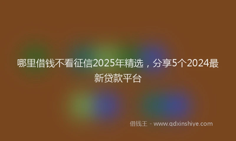 哪里借钱不看征信2025年精选，分享5个2024最新贷款平台