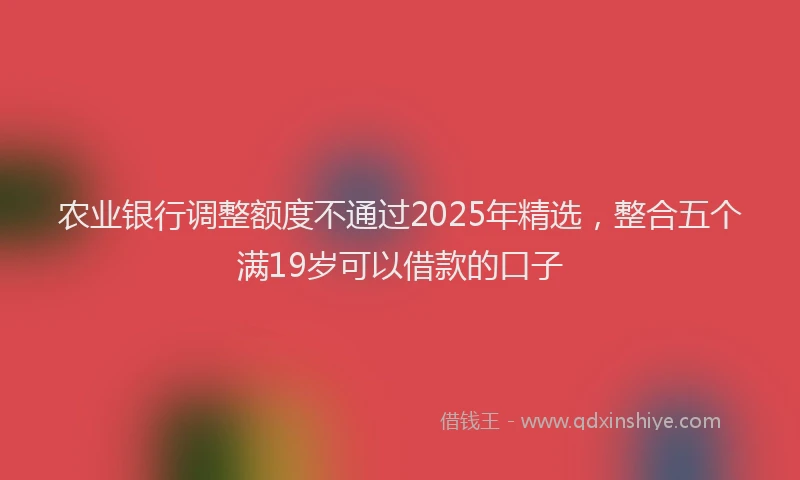 农业银行调整额度不通过2025年精选，整合五个满19岁可以借款的口子