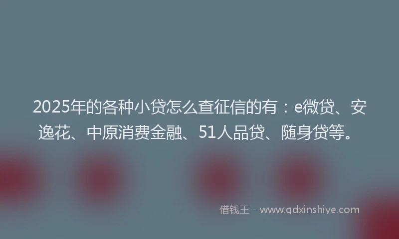 2025年的各种小贷怎么查征信的有：e微贷、安逸花、中原消费金融、51人品贷、随身贷等。