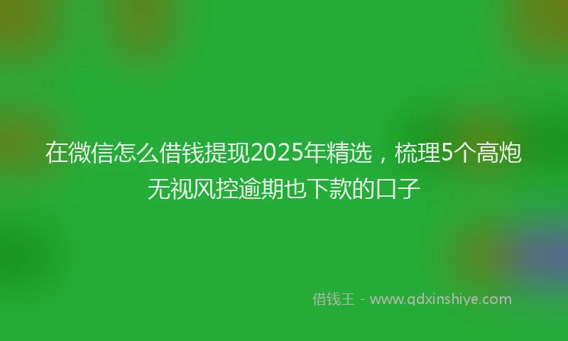 在微信怎么借钱提现2025年精选，梳理5个高炮无视风控逾期也下款的口子