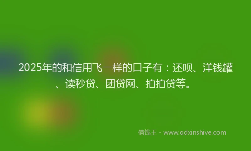 2025年的和信用飞一样的口子有：还呗、洋钱罐、读秒贷、团贷网、拍拍贷等。