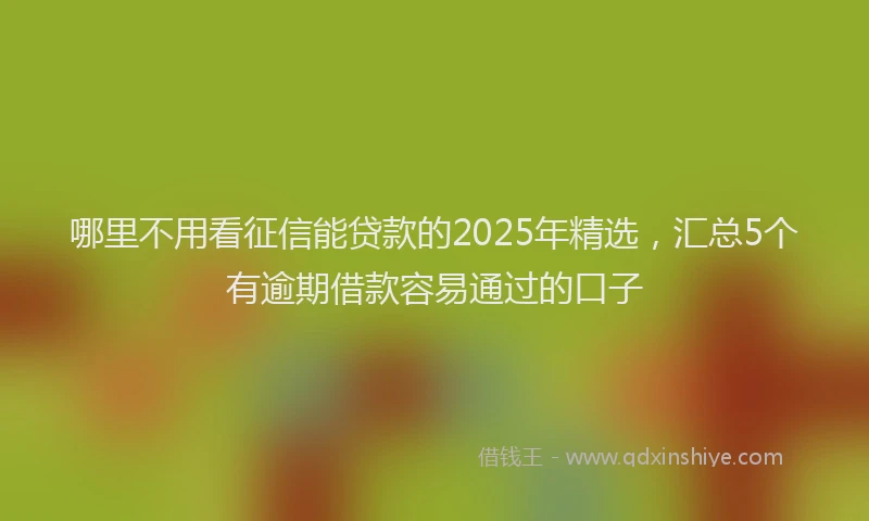 哪里不用看征信能贷款的2025年精选，汇总5个有逾期借款容易通过的口子