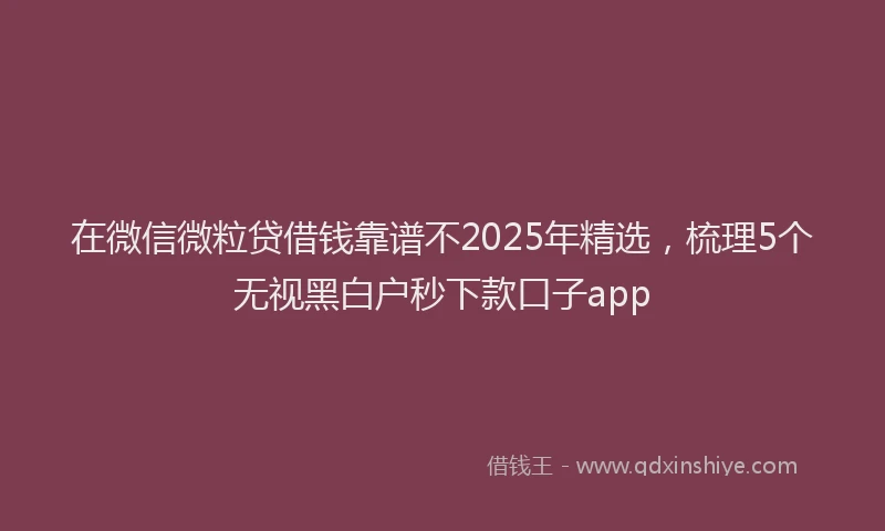 在微信微粒贷借钱靠谱不2025年精选，梳理5个无视黑白户秒下款口子app