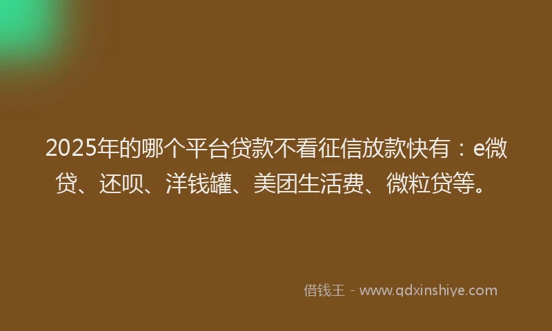 2025年的哪个平台贷款不看征信放款快有：e微贷、还呗、洋钱罐、美团生活费、微粒贷等。