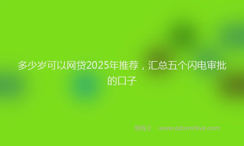 多少岁可以网贷2025年推荐，汇总五个闪电审批的口子