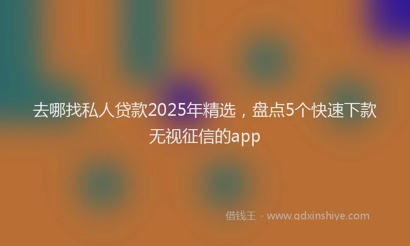 去哪找私人贷款2025年精选，盘点5个快速下款无视征信的app