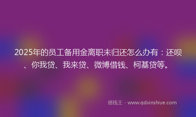 2025年的员工备用金离职未归还怎么办有：还呗、你我贷、我来贷、微博借钱、柯基贷等。