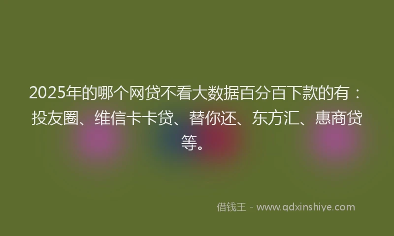 2025年的哪个网贷不看大数据百分百下款的有：投友圈、维信卡卡贷、替你还、东方汇、惠商贷等。