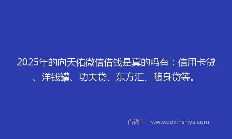 2025年的向天佑微信借钱是真的吗有：信用卡贷、洋钱罐、功夫贷、东方汇、随身贷等。