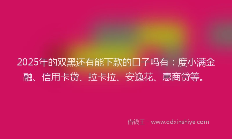 2025年的双黑还有能下款的口子吗有：度小满金融、信用卡贷、拉卡拉、安逸花、惠商贷等。