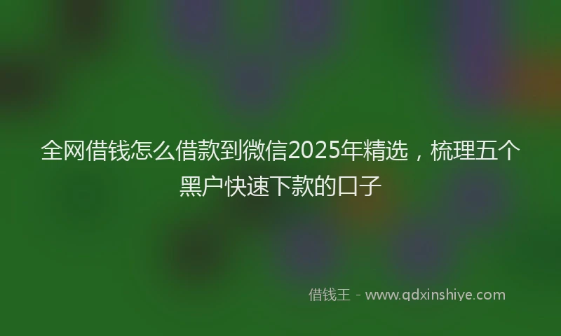 全网借钱怎么借款到微信2025年精选，梳理五个黑户快速下款的口子