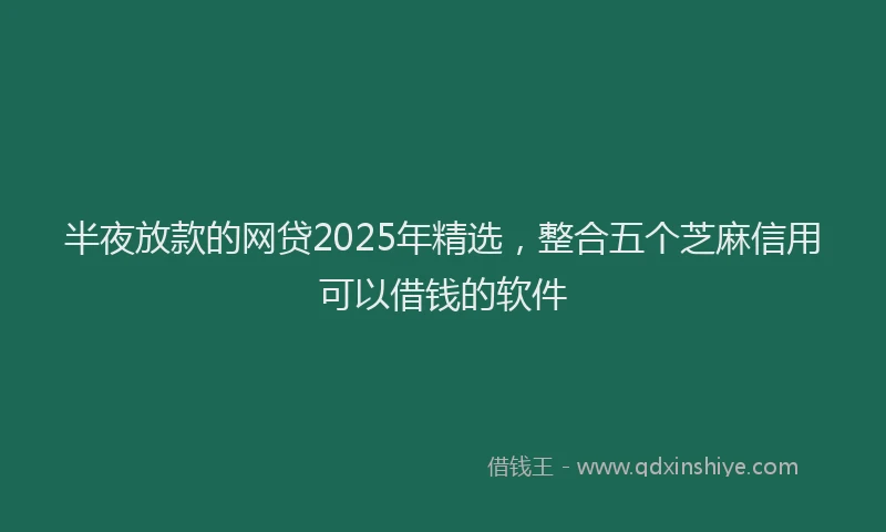 半夜放款的网贷2025年精选，整合五个芝麻信用可以借钱的软件