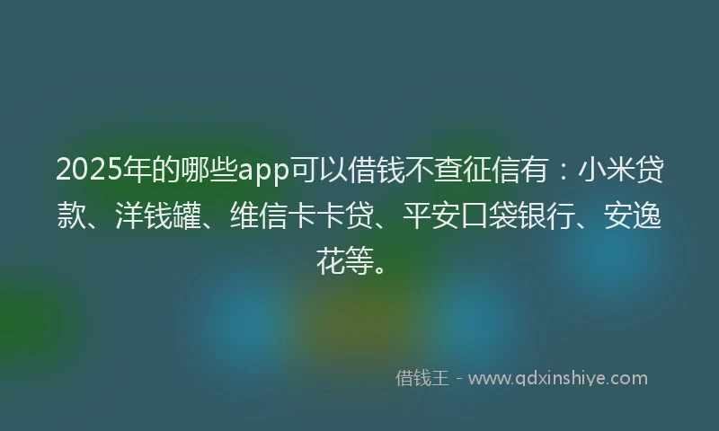 2025年的哪些app可以借钱不查征信有：小米贷款、洋钱罐、维信卡卡贷、平安口袋银行、安逸花等。