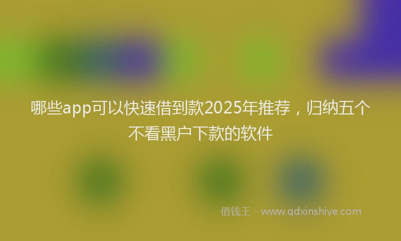 哪些app可以快速借到款2025年推荐，归纳五个不看黑户下款的软件