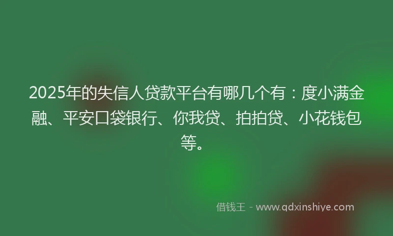 2025年的失信人贷款平台有哪几个有：度小满金融、平安口袋银行、你我贷、拍拍贷、小花钱包等。