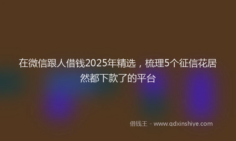 在微信跟人借钱2025年精选，梳理5个征信花居然都下款了的平台