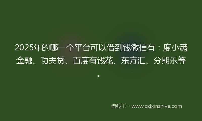 2025年的哪一个平台可以借到钱微信有：度小满金融、功夫贷、百度有钱花、东方汇、分期乐等。