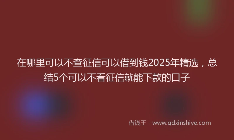 在哪里可以不查征信可以借到钱2025年精选，总结5个可以不看征信就能下款的口子
