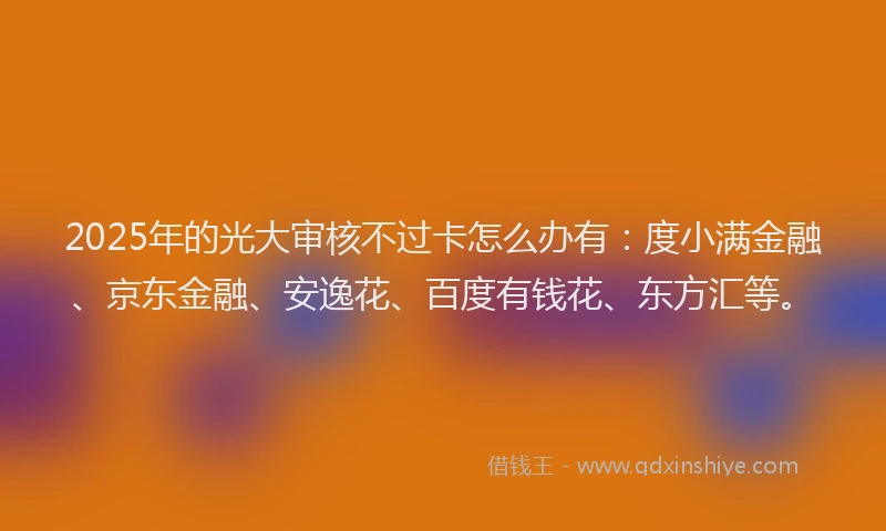 2025年的光大审核不过卡怎么办有：度小满金融、京东金融、安逸花、百度有钱花、东方汇等。