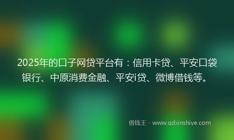 2025年的口子网贷平台有：信用卡贷、平安口袋银行、中原消费金融、平安i贷、微博借钱等。