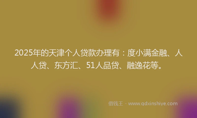 2025年的天津个人贷款办理有：度小满金融、人人贷、东方汇、51人品贷、融逸花等。