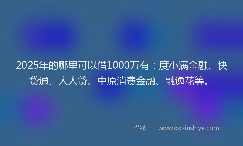 2025年的哪里可以借1000万有：度小满金融、快贷通、人人贷、中原消费金融、融逸花等。