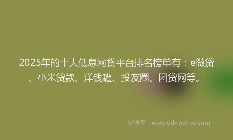 2025年的十大低息网贷平台排名榜单有：e微贷、小米贷款、洋钱罐、投友圈、团贷网等。