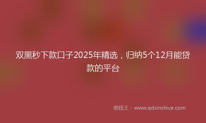 双黑秒下款口子2025年精选，归纳5个12月能贷款的平台