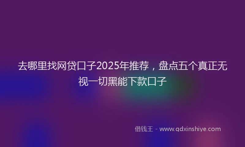 去哪里找网贷口子2025年推荐，盘点五个真正无视一切黑能下款口子