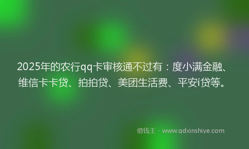 2025年的农行qq卡审核通不过有：度小满金融、维信卡卡贷、拍拍贷、美团生活费、平安i贷等。