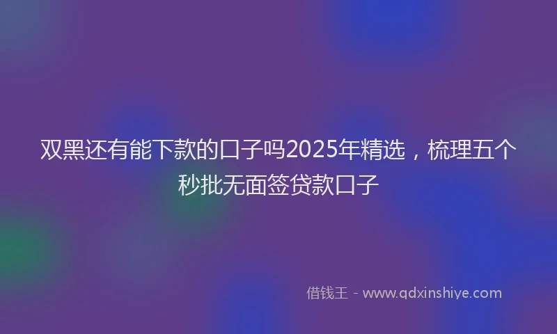 双黑还有能下款的口子吗2025年精选，梳理五个秒批无面签贷款口子
