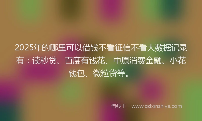 2025年的哪里可以借钱不看征信不看大数据记录有：读秒贷、百度有钱花、中原消费金融、小花钱包、微粒贷等。