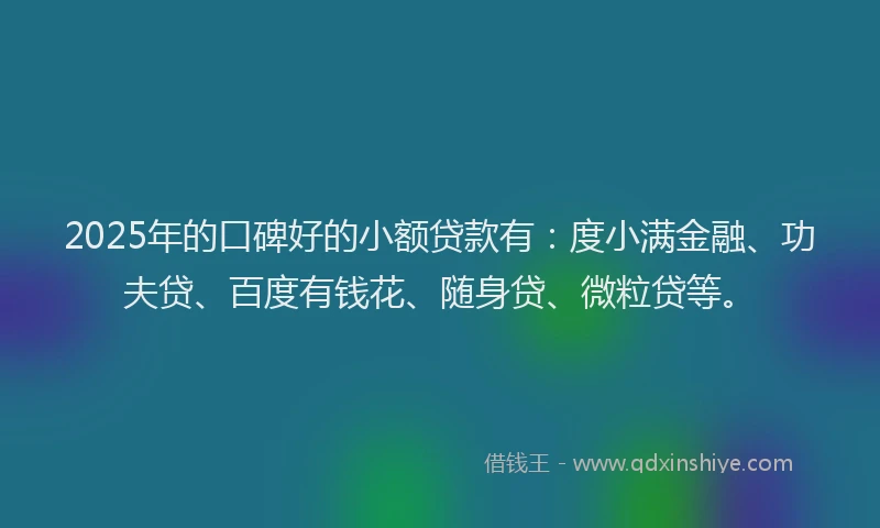 2025年的口碑好的小额贷款有：度小满金融、功夫贷、百度有钱花、随身贷、微粒贷等。