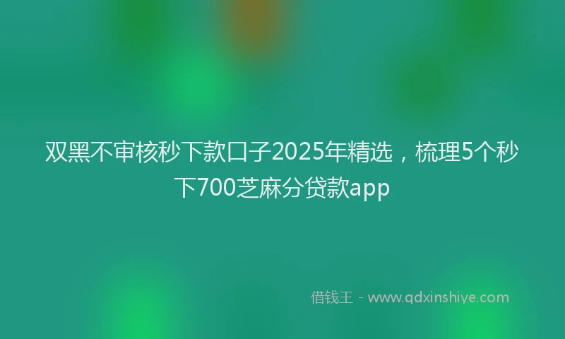 双黑不审核秒下款口子2025年精选，梳理5个秒下700芝麻分贷款app