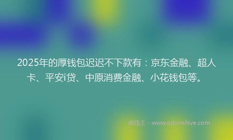 2025年的厚钱包迟迟不下款有：京东金融、超人卡、平安i贷、中原消费金融、小花钱包等。