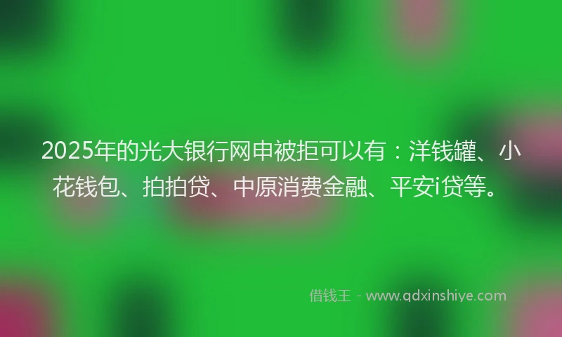 2025年的光大银行网申被拒可以有：洋钱罐、小花钱包、拍拍贷、中原消费金融、平安i贷等。