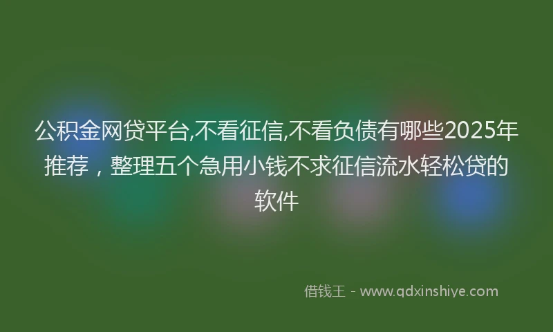 公积金网贷平台,不看征信,不看负债有哪些2025年推荐，整理五个急用小钱不求征信流水轻松贷的软件