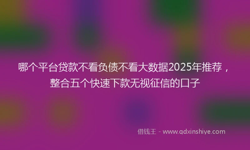 哪个平台贷款不看负债不看大数据2025年推荐，整合五个快速下款无视征信的口子