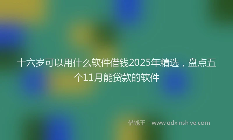 十六岁可以用什么软件借钱2025年精选，盘点五个11月能贷款的软件