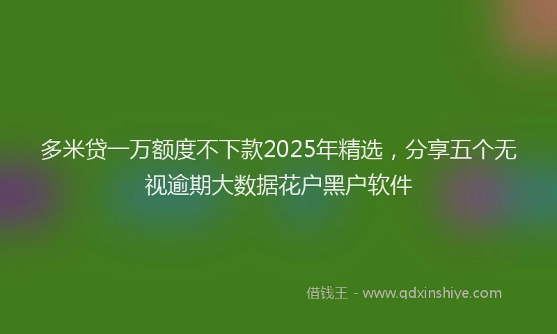 多米贷一万额度不下款2025年精选，分享五个无视逾期大数据花户黑户软件