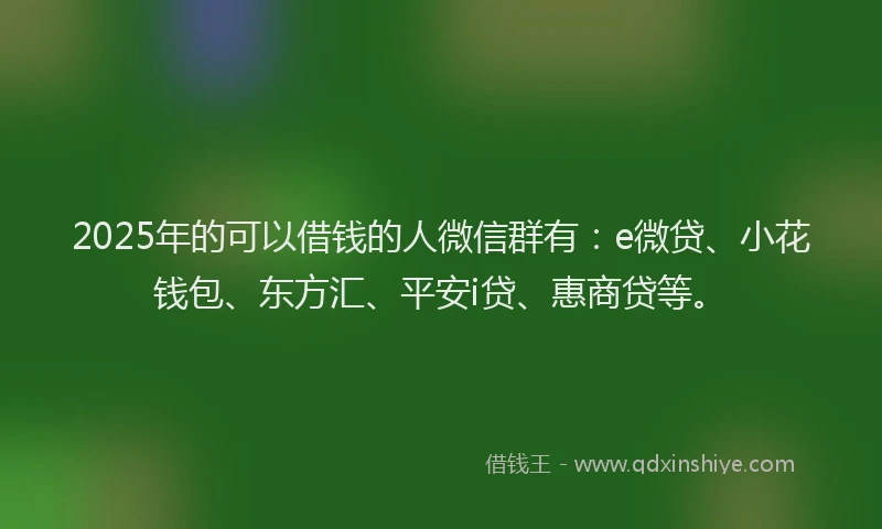 2025年的可以借钱的人微信群有：e微贷、小花钱包、东方汇、平安i贷、惠商贷等。