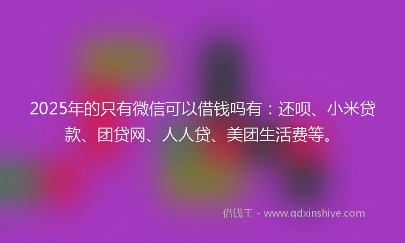 2025年的只有微信可以借钱吗有：还呗、小米贷款、团贷网、人人贷、美团生活费等。