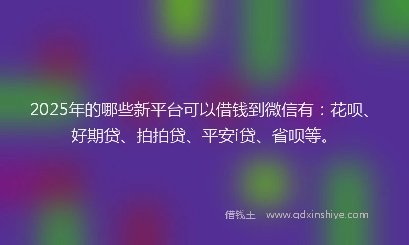 2025年的哪些新平台可以借钱到微信有：花呗、好期贷、拍拍贷、平安i贷、省呗等。