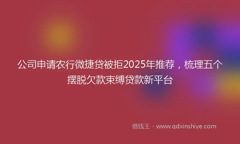 公司申请农行微捷贷被拒2025年推荐，梳理五个摆脱欠款束缚贷款新平台